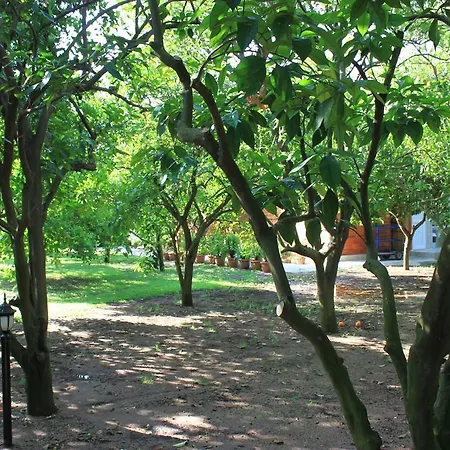 Holiday park Yildiz Cirali